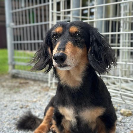 高知博雅山林小屋 恩纳 外观 照片